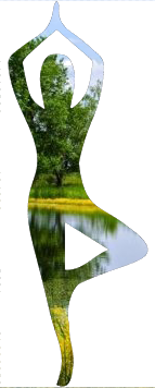 силы природы