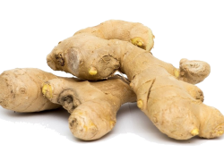 рогатый корень имбирь